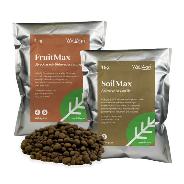 Sensommar & höstpaket - Jordens återhämtning (augusti-oktober)