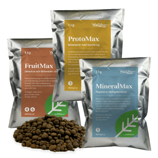 Sommarpaket - tillväxt & resiliens (maj-augusti)